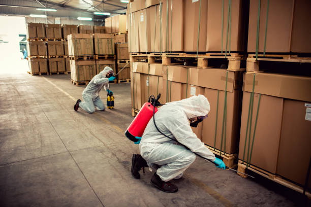 Best Ant Control Services  in Fort Llins, CO