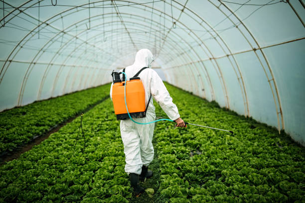 Best Affordable Pest Control Services  in Fort Llins, CO