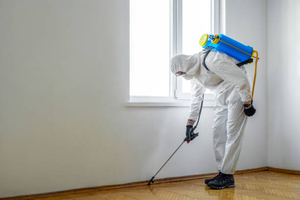 Trusted Fort Collins, CO Pest Control Experts
