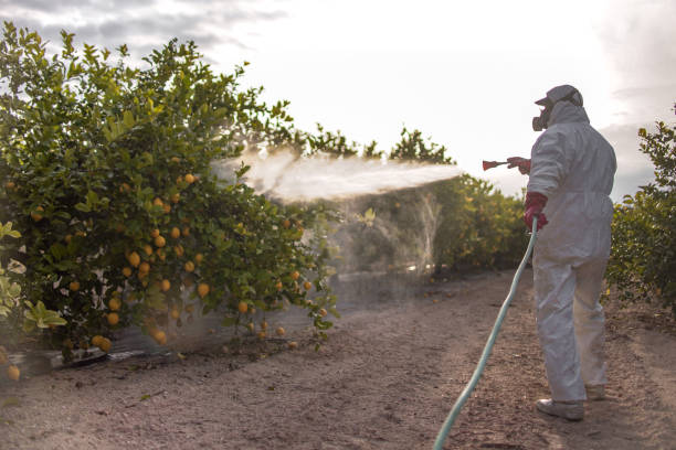 Best Pest Control Near Me  in Fort Llins, CO