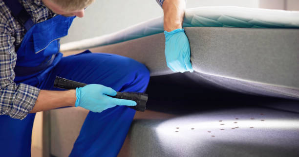 Best Best Pest Control Companies  in Fort Llins, CO
