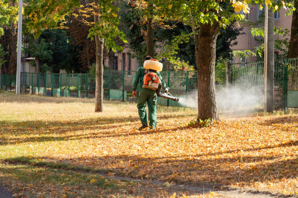 Pest Prevention Services in Fort Collins, CO