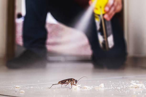 Best Pest Prevention Services  in Fort Llins, CO